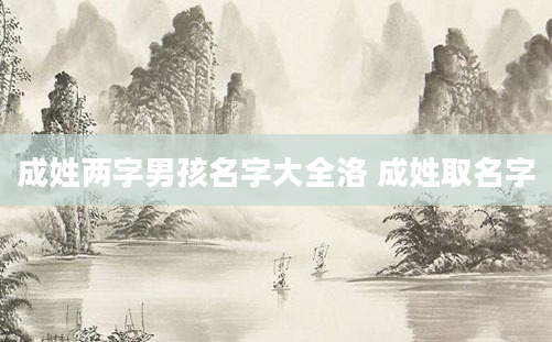 成姓两字男孩名字大全洛 成姓取名字