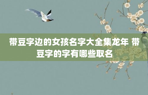 带豆字边的女孩名字大全集龙年 带豆字的字有哪些取名