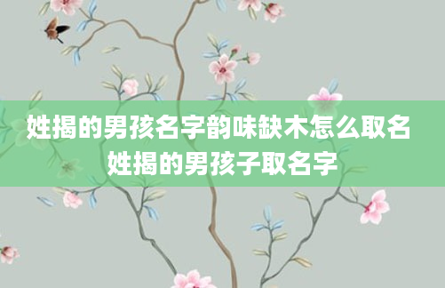 姓揭的男孩名字韵味缺木怎么取名 姓揭的男孩子取名字