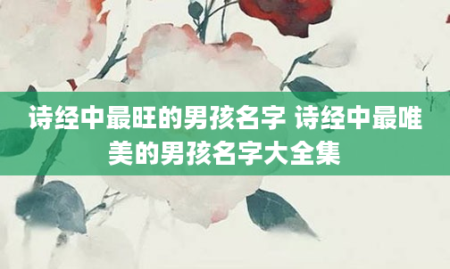 诗经中最旺的男孩名字 诗经中最唯美的男孩名字大全集
