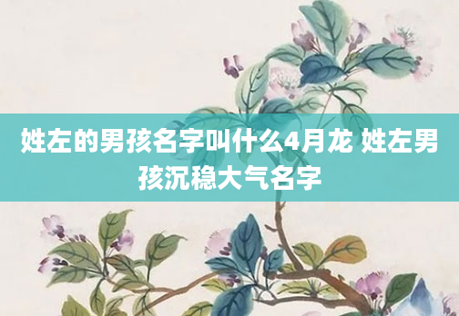 姓左的男孩名字叫什么4月龙 姓左男孩沉稳大气名字