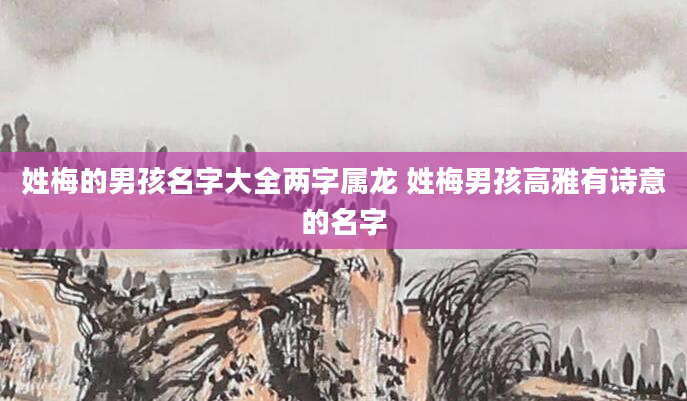 姓梅的男孩名字大全两字属龙 姓梅男孩高雅有诗意的名字
