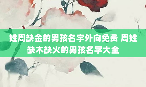 姓周缺金的男孩名字外向免费 周姓缺木缺火的男孩名字大全