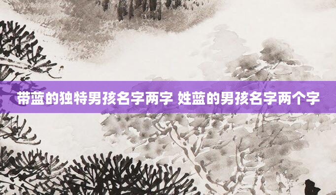 带蓝的独特男孩名字两字 姓蓝的男孩名字两个字