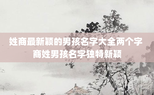 姓商最新颖的男孩名字大全两个字 商姓男孩名字独特新颖