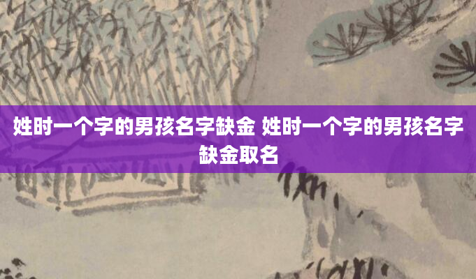 姓时一个字的男孩名字缺金 姓时一个字的男孩名字缺金取名