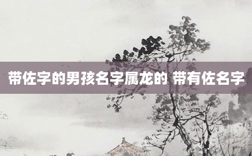 带佐字的男孩名字属龙的 带有佐名字