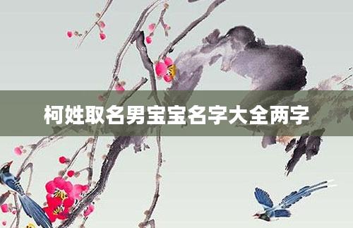 柯姓取名男宝宝名字大全两字