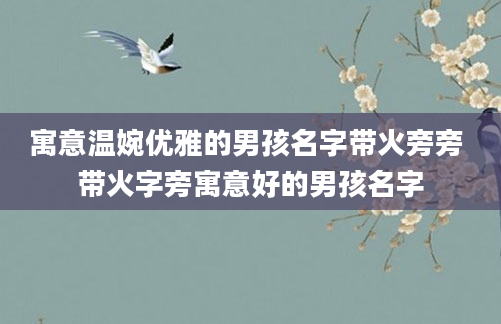 寓意温婉优雅的男孩名字带火旁旁 带火字旁寓意好的男孩名字