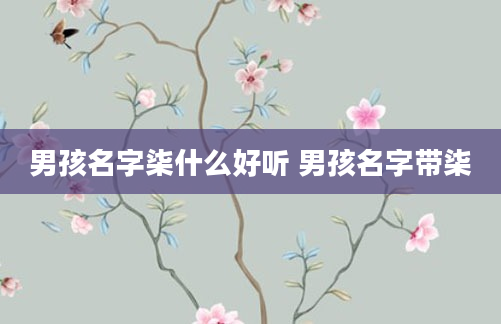 男孩名字柒什么好听 男孩名字带柒
