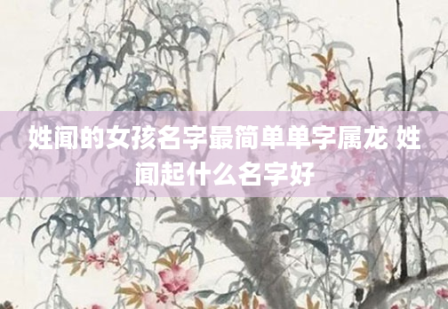 姓闻的女孩名字最简单单字属龙 姓闻起什么名字好