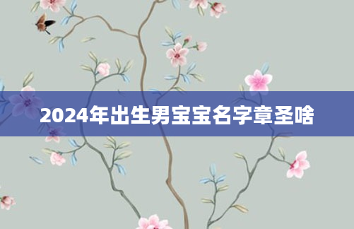 2024年出生男宝宝名字章圣啥