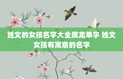 姓文的女孩名字大全属龙单字 姓文女孩有寓意的名字
