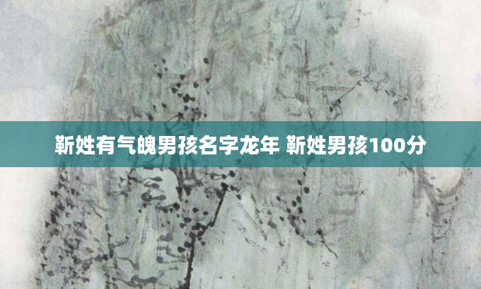 靳姓有气魄男孩名字龙年 靳姓男孩100分