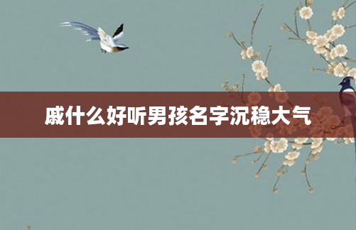 戚什么好听男孩名字沉稳大气