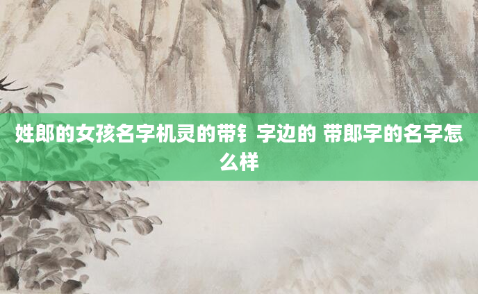 姓郎的女孩名字机灵的带钅字边的 带郎字的名字怎么样