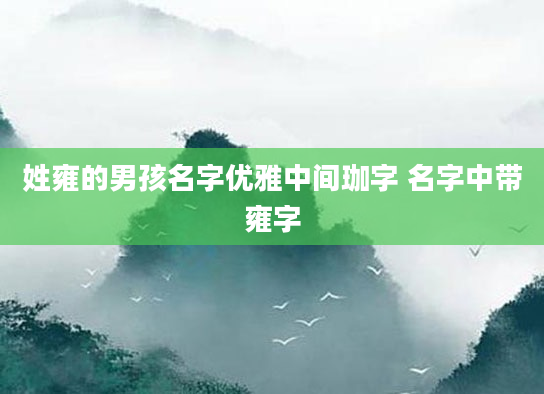 姓雍的男孩名字优雅中间珈字 名字中带雍字