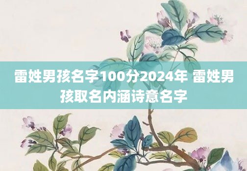雷姓男孩名字100分2024年 雷姓男孩取名内涵诗意名字