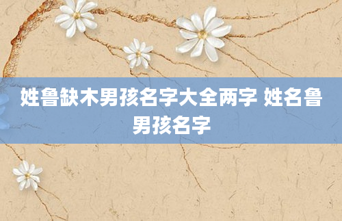 姓鲁缺木男孩名字大全两字 姓名鲁男孩名字