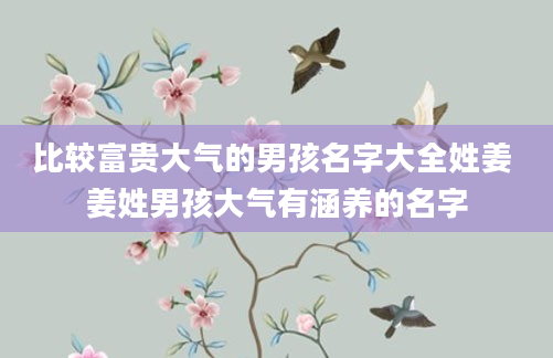 比较富贵大气的男孩名字大全姓姜 姜姓男孩大气有涵养的名字
