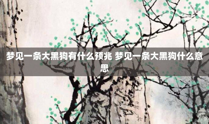 梦见一条大黑狗有什么预兆 梦见一条大黑狗什么意思