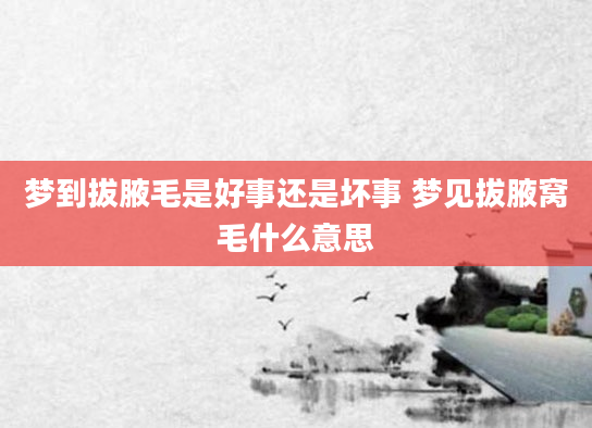 梦到拔腋毛是好事还是坏事 梦见拔腋窝毛什么意思