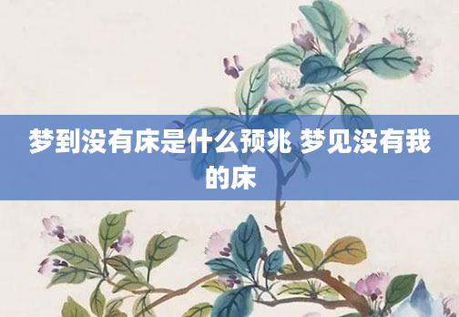 梦到没有床是什么预兆 梦见没有我的床