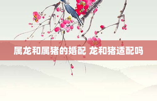 属龙和属猪的婚配 龙和猪适配吗