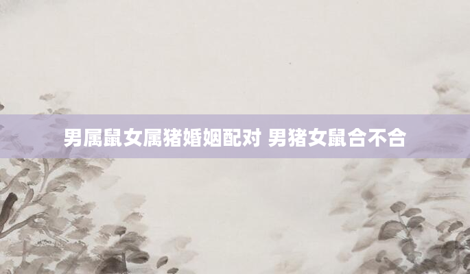 男属鼠女属猪婚姻配对 男猪女鼠合不合