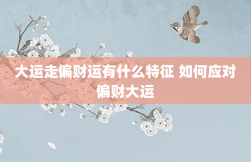 大运走偏财运有什么特征 如何应对偏财大运