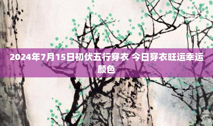 2024年7月15日初伏五行穿衣 今日穿衣旺运幸运颜色
