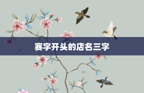 赛字开头的店名三字