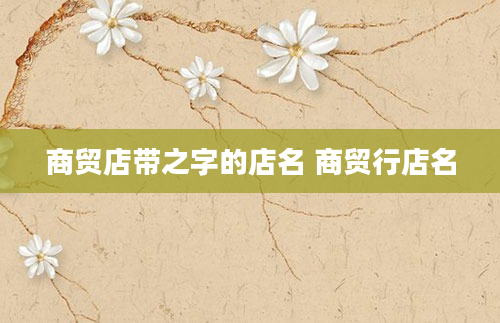 商贸店带之字的店名 商贸行店名