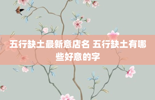 五行缺土最新意店名 五行缺土有哪些好意的字