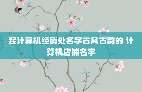 起计算机经销处名字古风古韵的 计算机店铺名字