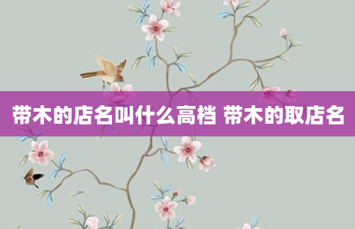 带木的店名叫什么高档 带木的取店名