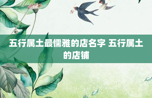 五行属土最儒雅的店名字 五行属土的店铺