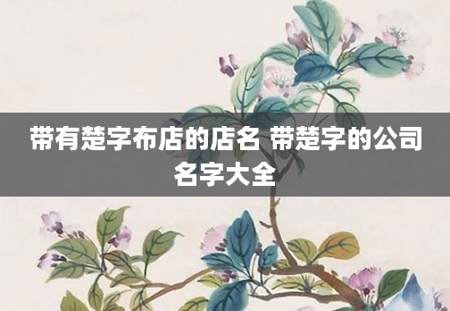 带有楚字布店的店名 带楚字的公司名字大全