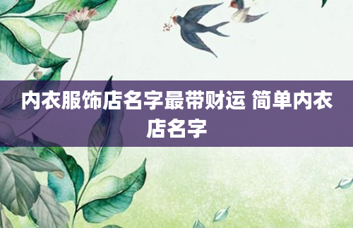 内衣服饰店名字最带财运 简单内衣店名字