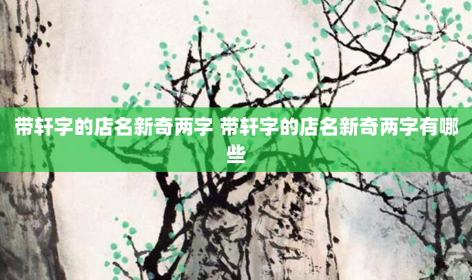 带轩字的店名新奇两字 带轩字的店名新奇两字有哪些