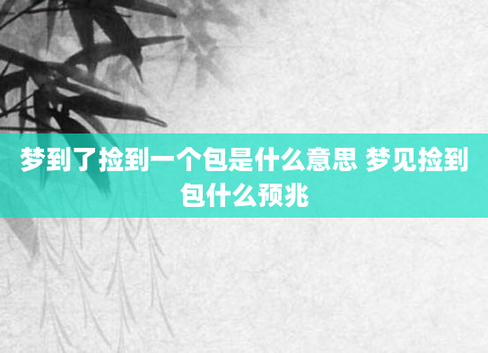 梦到了捡到一个包是什么意思 梦见捡到包什么预兆