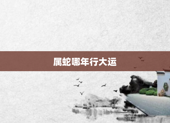 属蛇哪年行大运