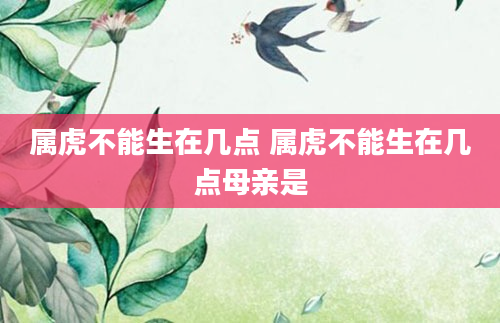 属虎不能生在几点 属虎不能生在几点母亲是