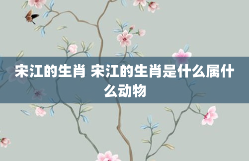 宋江的生肖 宋江的生肖是什么属什么动物