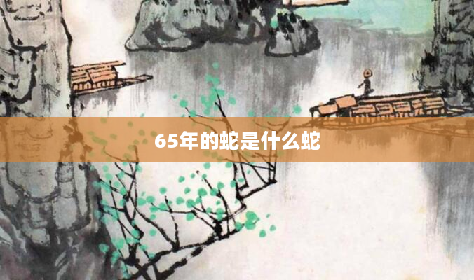 65年的蛇是什么蛇