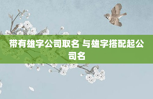 带有雄字公司取名 与雄字搭配起公司名