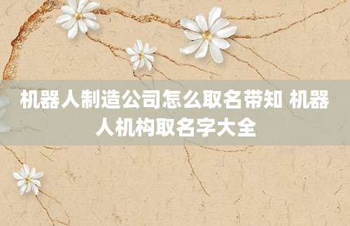机器人制造公司怎么取名带知 机器人机构取名字大全