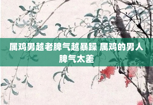 属鸡男越老脾气越暴躁 属鸡的男人脾气太差
