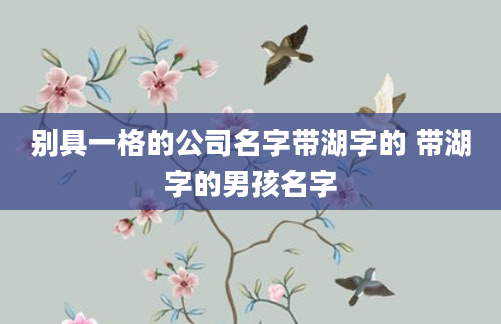 别具一格的公司名字带湖字的 带湖字的男孩名字