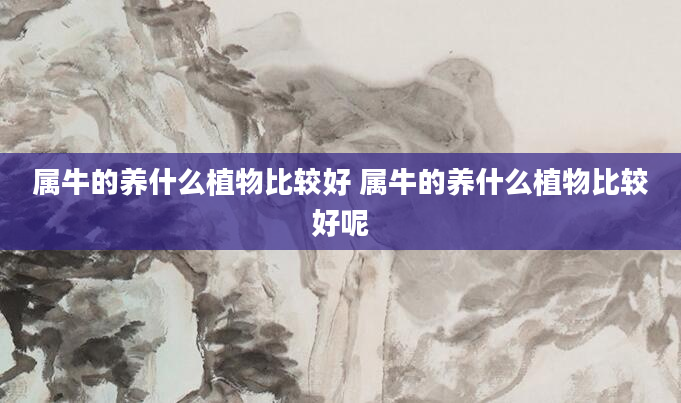 属牛的养什么植物比较好 属牛的养什么植物比较好呢